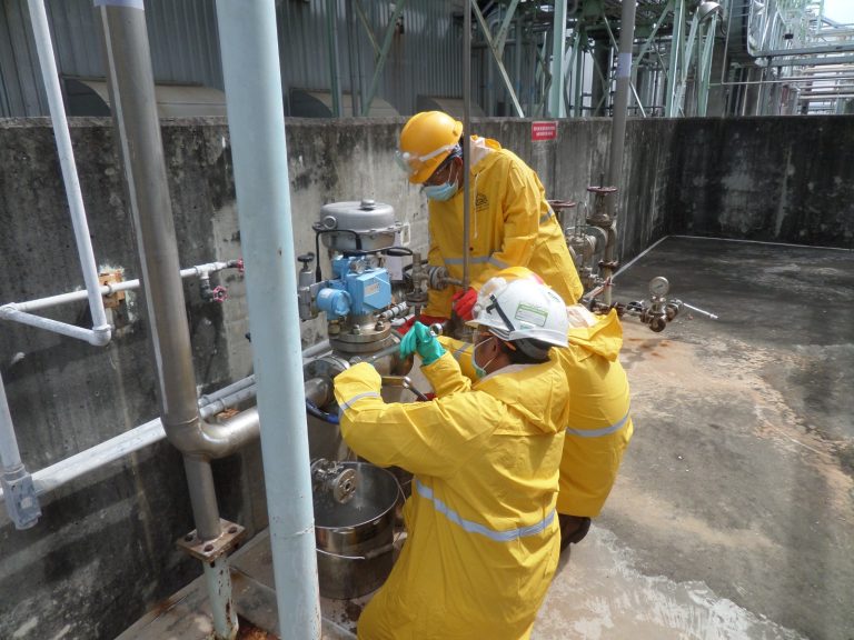 WhatsApp Image 2024-08-21 at 09.46.15